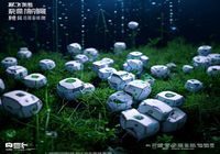 夜无疆社群运营负责人沈夜白，社群生态专家，搭建并维护夜无疆50万夜行者社群的健康运营体系